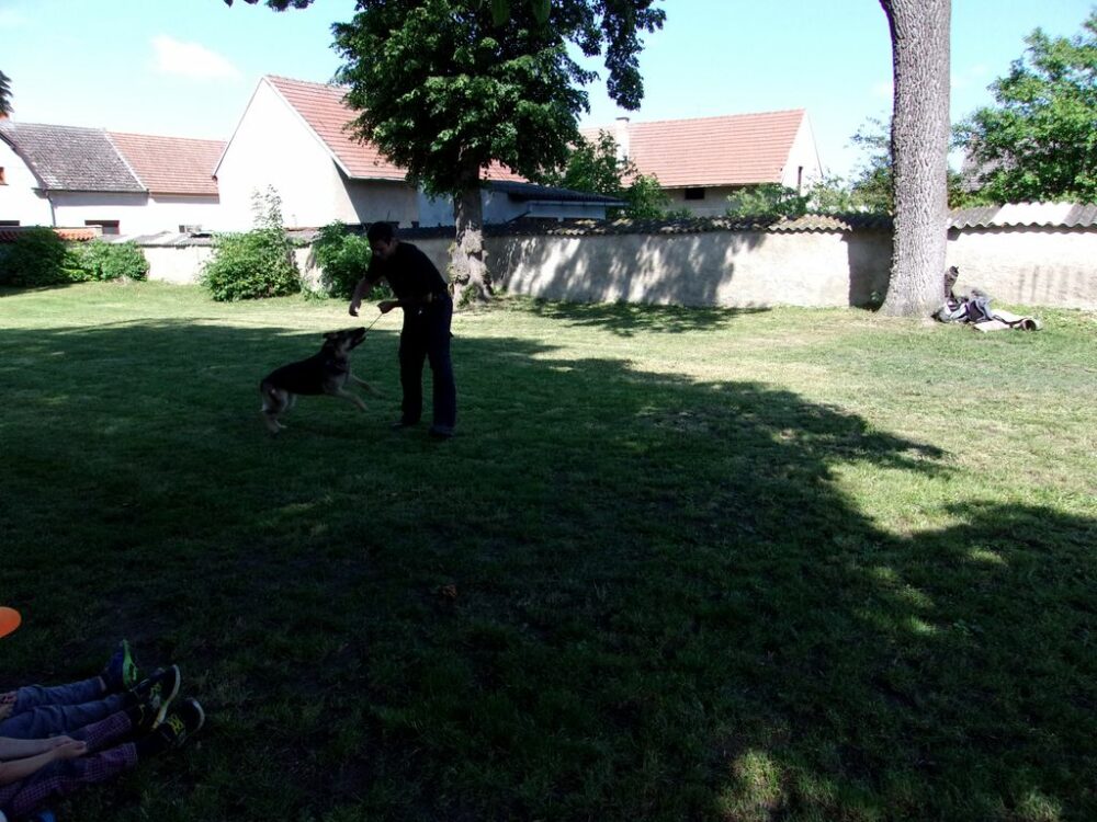 Výcvik policejního psa 25. 5. 2018