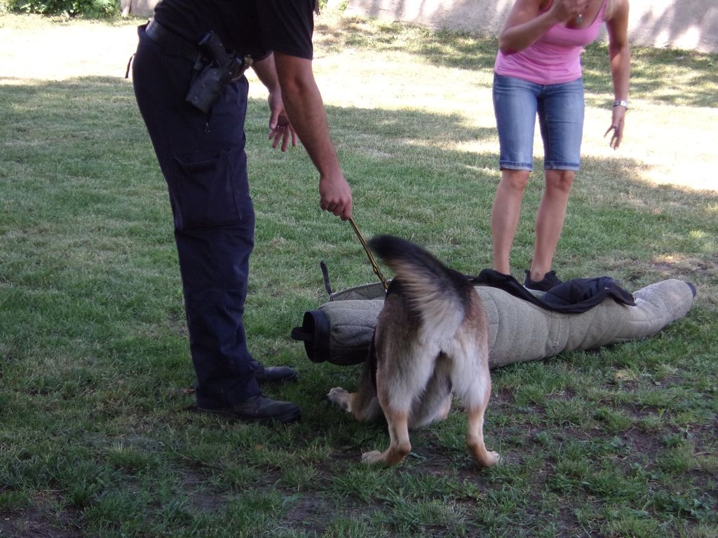 Výcvik policejního psa 25. 5. 2018